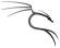 Kali Linux